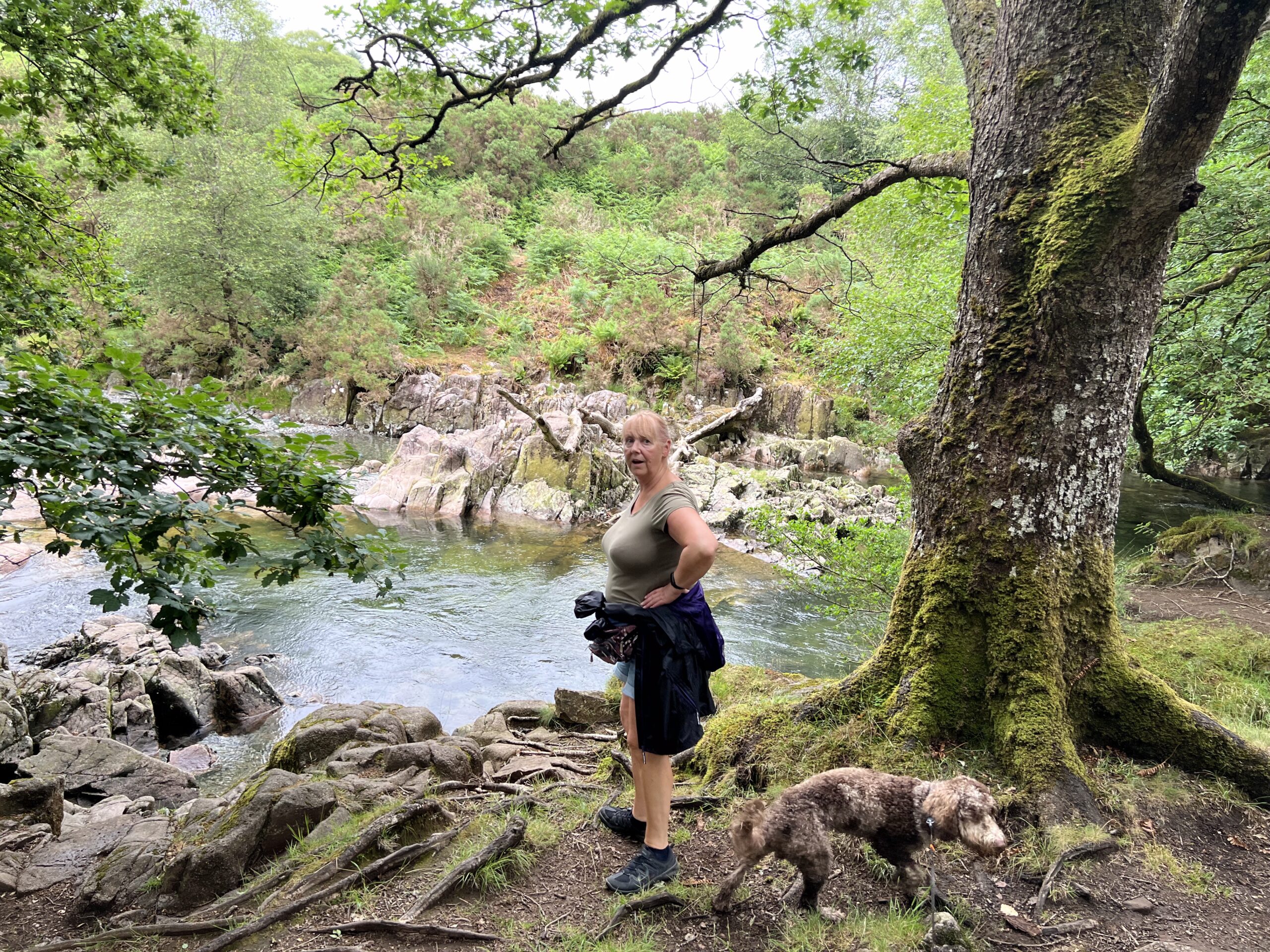 Exploring with Dog
