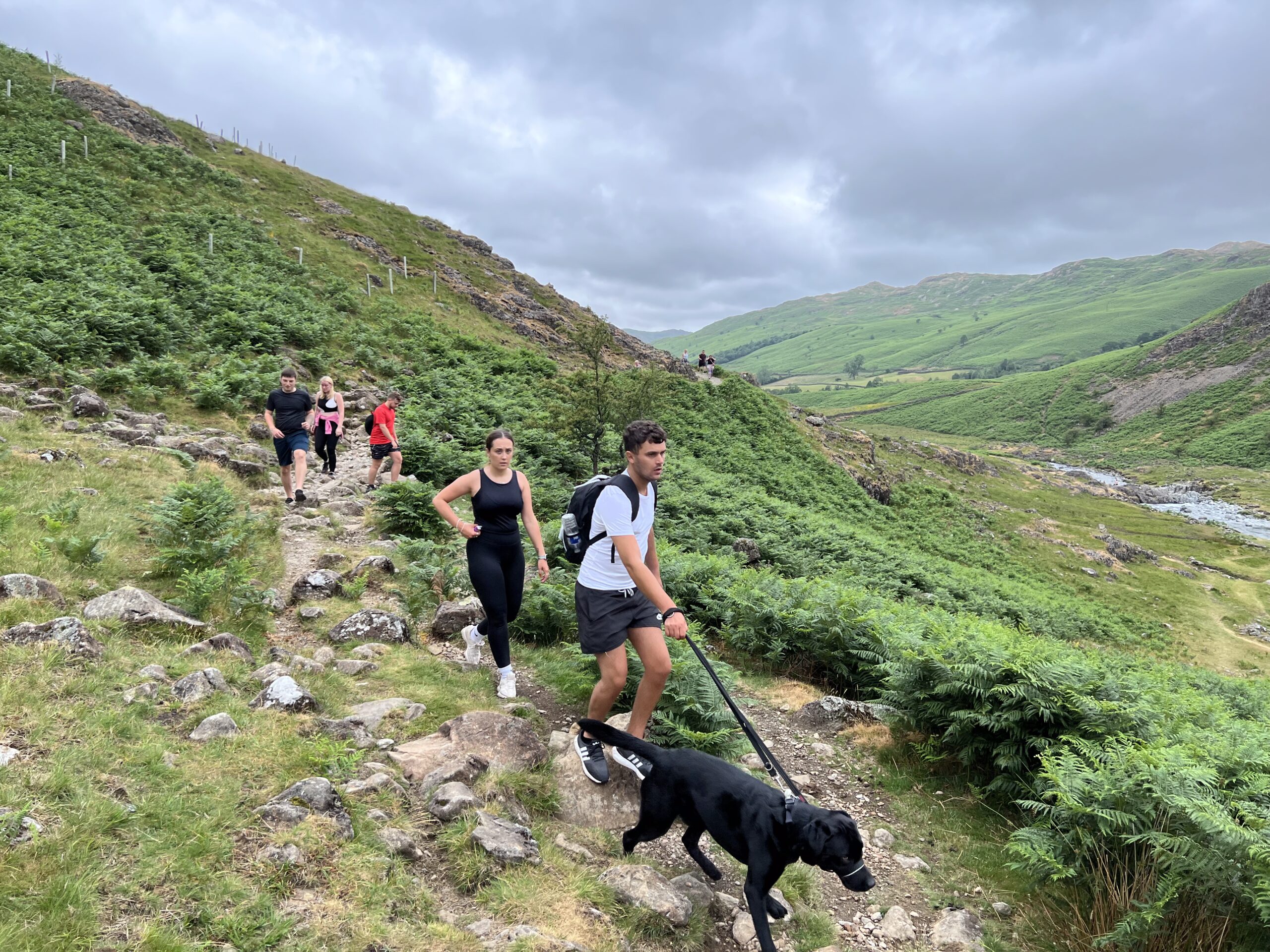 Team Hiking