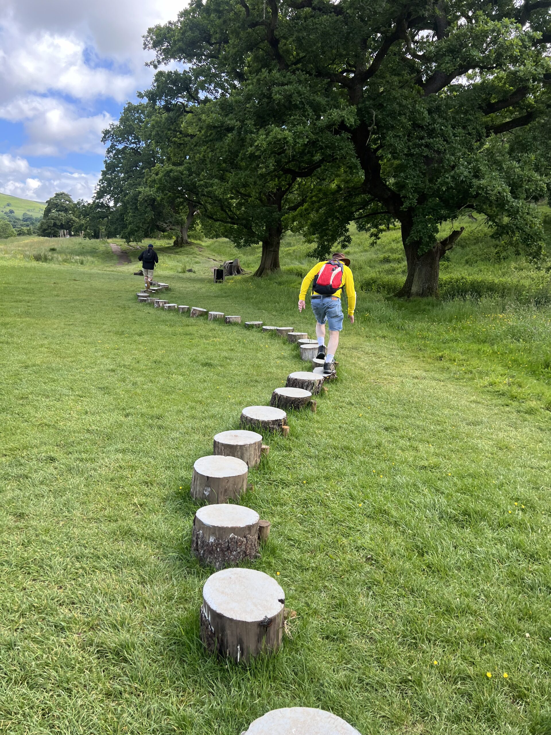 Fun tree path