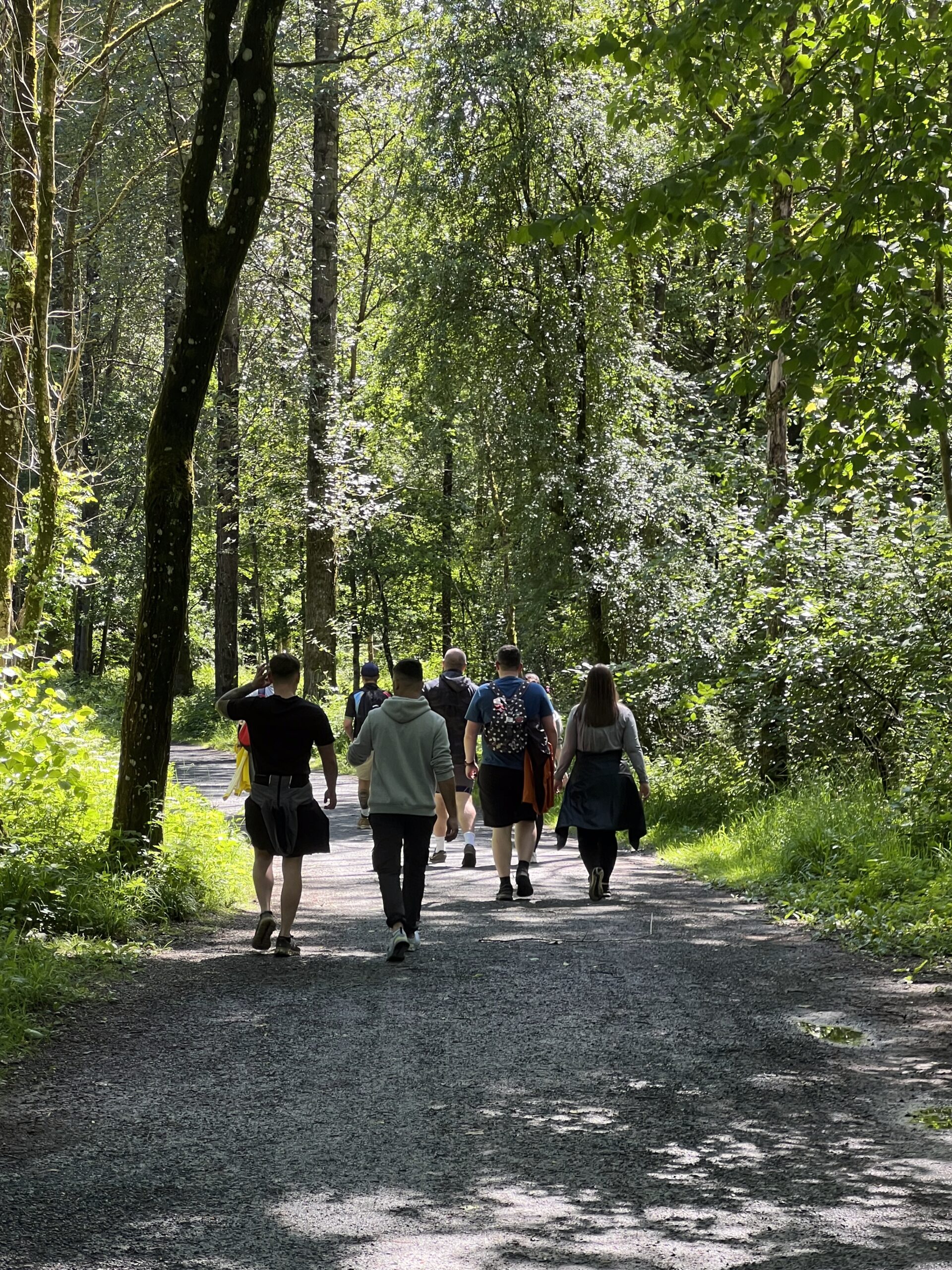Team Walk through woods