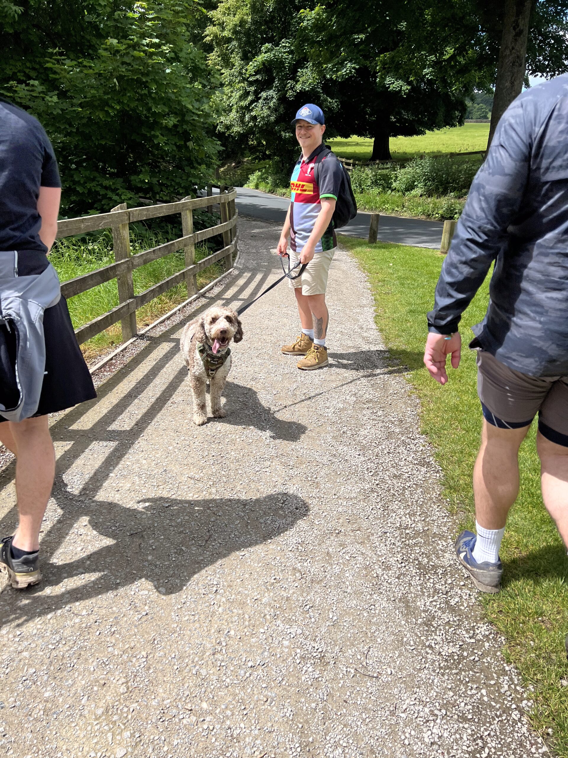 Dog Coming on Trips